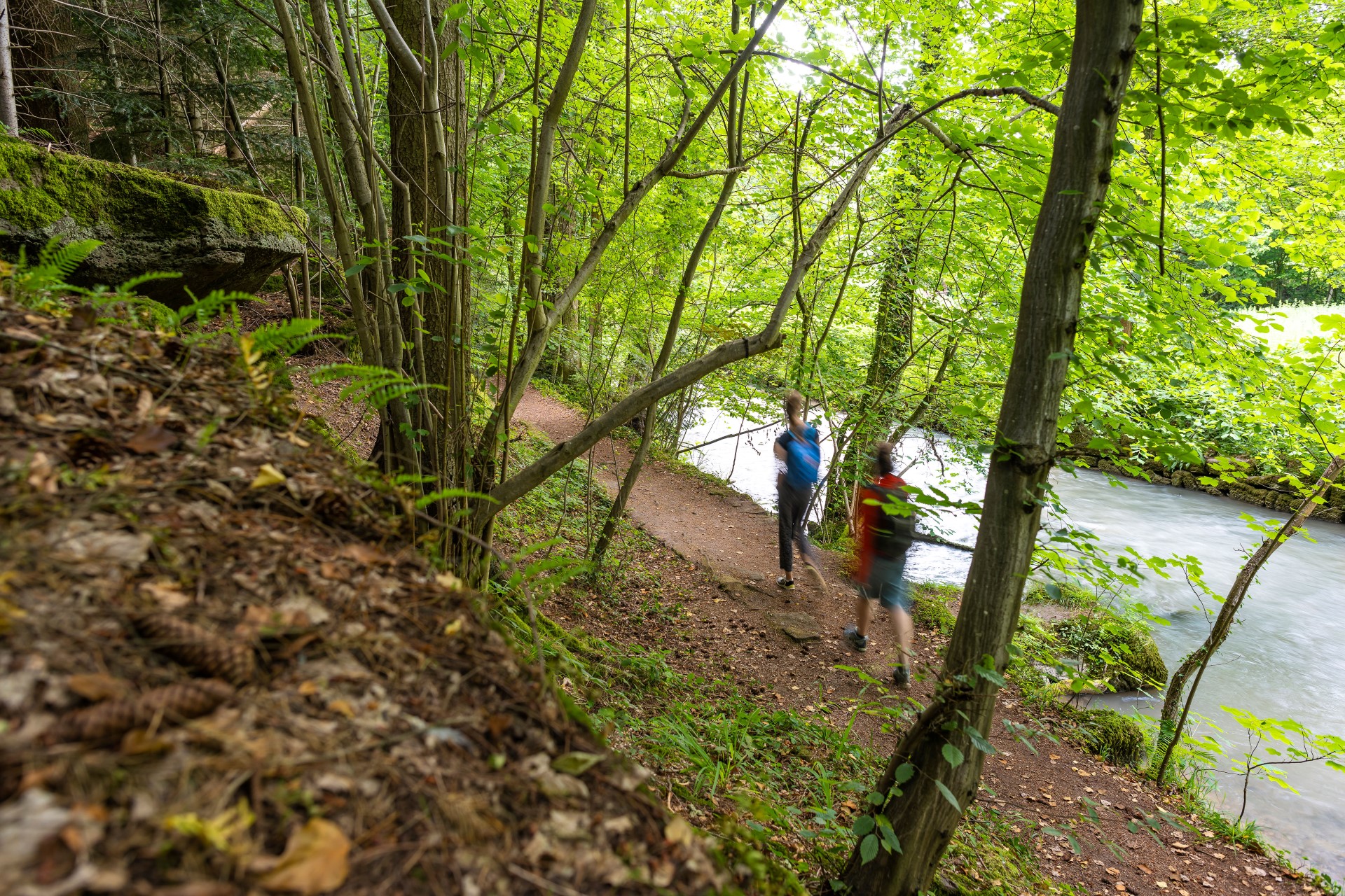 Nordschwarzwald: Unentdecktes Wanderparadies bei Pforzheim
