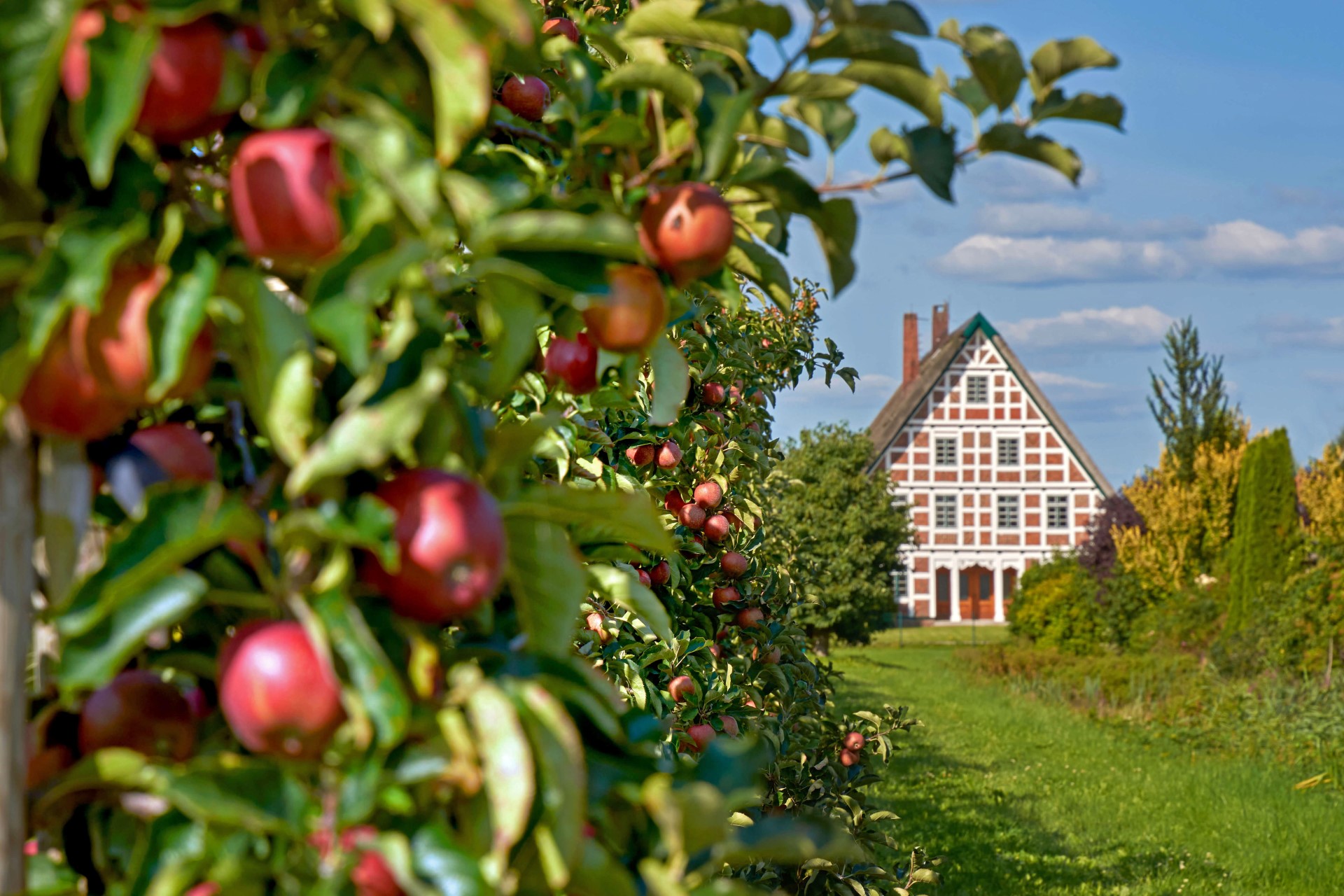 Altes Land: Herbstwanderungen von Hamburgs Süden bis zur Elbmündung