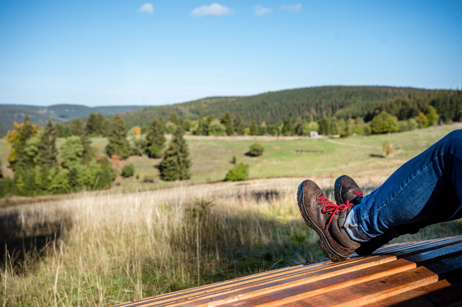 Thüringen: Wandern und Waldbaden zwischen Ilmenau und dem Rennsteig