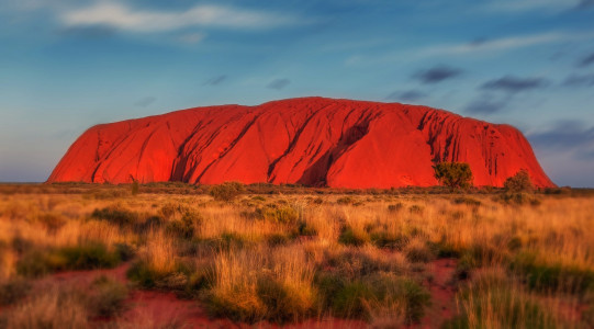 Australien will Grenzen im November öffnen